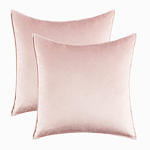 Home Decorative Edge Velvet Waist Pillow Cushion Covers 2PCS Super Soft Plush Hotel Sofa Pillow Covers 18"x18" Throw Pillow Covers