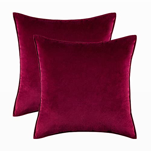 Home Decorative Edge Velvet Waist Pillow Cushion Covers 2PCS Super Soft Plush Hotel Sofa Pillow Covers 18"x18" Throw Pillow Covers