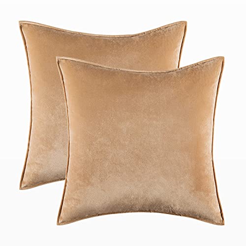 Home Decorative Edge Velvet Waist Pillow Cushion Covers 2PCS Super Soft Plush Hotel Sofa Pillow Covers 18"x18" Throw Pillow Covers