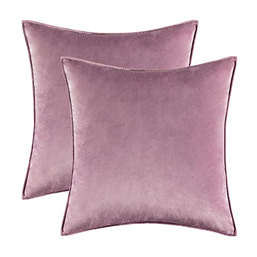2PCS Home Decorative Edge Velvet Waist Pillow Cushion Covers Super Soft Plush Hotel Sofa Pillow Covers 20"x20" Throw Pillow Covers