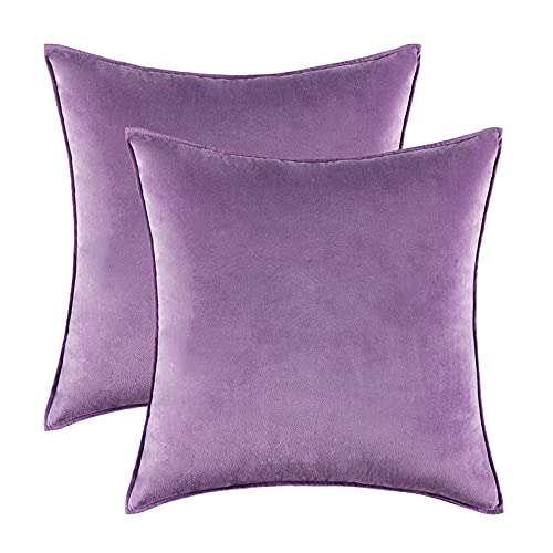 Home Decorative Edge Velvet Waist Pillow Cushion Covers 2PCS Super Soft Plush Hotel Sofa Pillow Covers 18"x18" Throw Pillow Covers