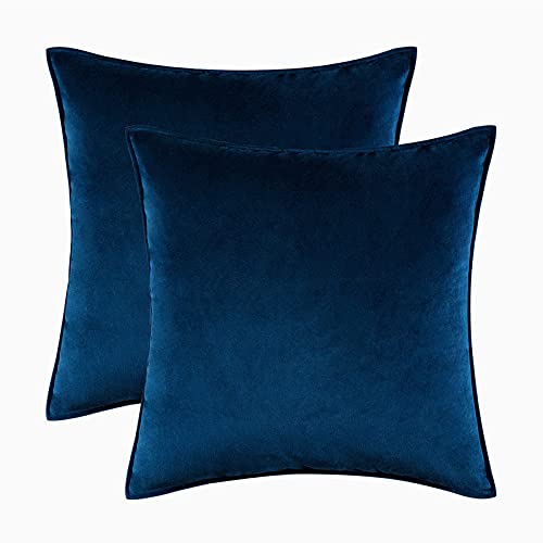 Home Decorative Edge Velvet Waist Pillow Cushion Covers 2PCS Super Soft Plush Hotel Sofa Pillow Covers 18"x18" Throw Pillow Covers