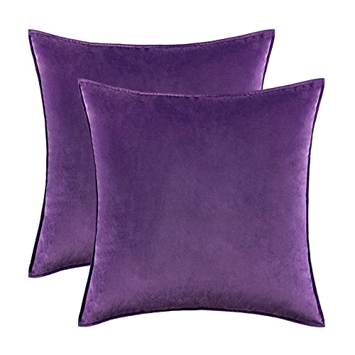 Home Decorative Edge Velvet Waist Pillow Cushion Covers 2PCS Super Soft Plush Hotel Sofa Pillow Covers 18"x18" Throw Pillow Covers