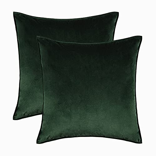 Home Decorative Edge Velvet Waist Pillow Cushion Covers 2PCS Super Soft Plush Hotel Sofa Pillow Covers 18"x18" Throw Pillow Covers