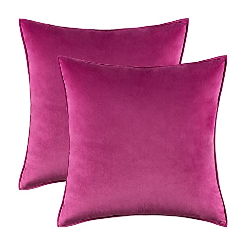 Home Decorative Edge Velvet Waist Pillow Cushion Covers 2PCS Super Soft Plush Hotel Sofa Pillow Covers 18"x18" Throw Pillow Covers