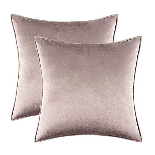 Home Decorative Edge Velvet Waist Pillow Cushion Covers 2PCS Super Soft Plush Hotel Sofa Pillow Covers 18"x18" Throw Pillow Covers