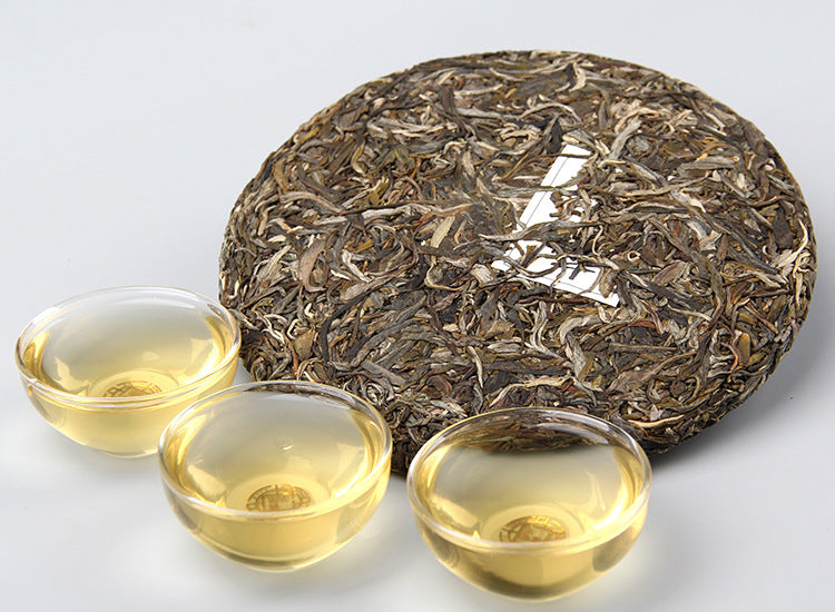 Pu'er Spring Tea 800 Years First Spring Pure Material Old Banzhang Ancient Tree Raw Tea Ancient Pressed Tea Green Tea 357g