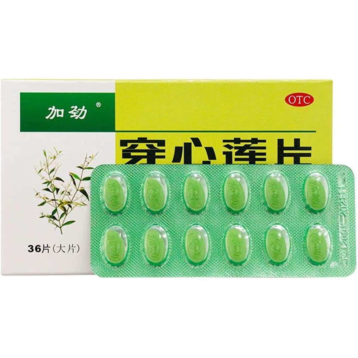 1 Box, Jiajin Chuanxinlian Pian 36 Tablets / Box 加劲穿心莲片