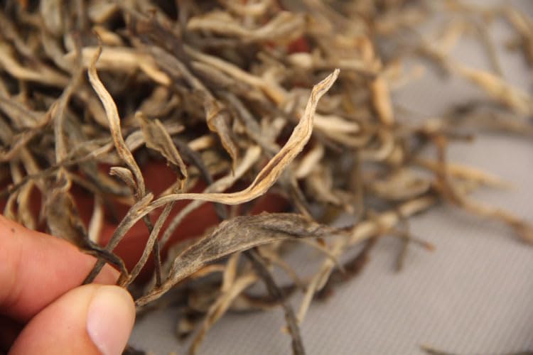 Yunnan Premium Pu-erh Tea One Bud One Leaf Sun-dried Green Puerh Raw Tea 500g Natural and Additive-free Big Tree Sun-dried Green Tea 云南普洱茶 一芽一叶晒青普洱生茶500g 白毫大树晒青 茶叶