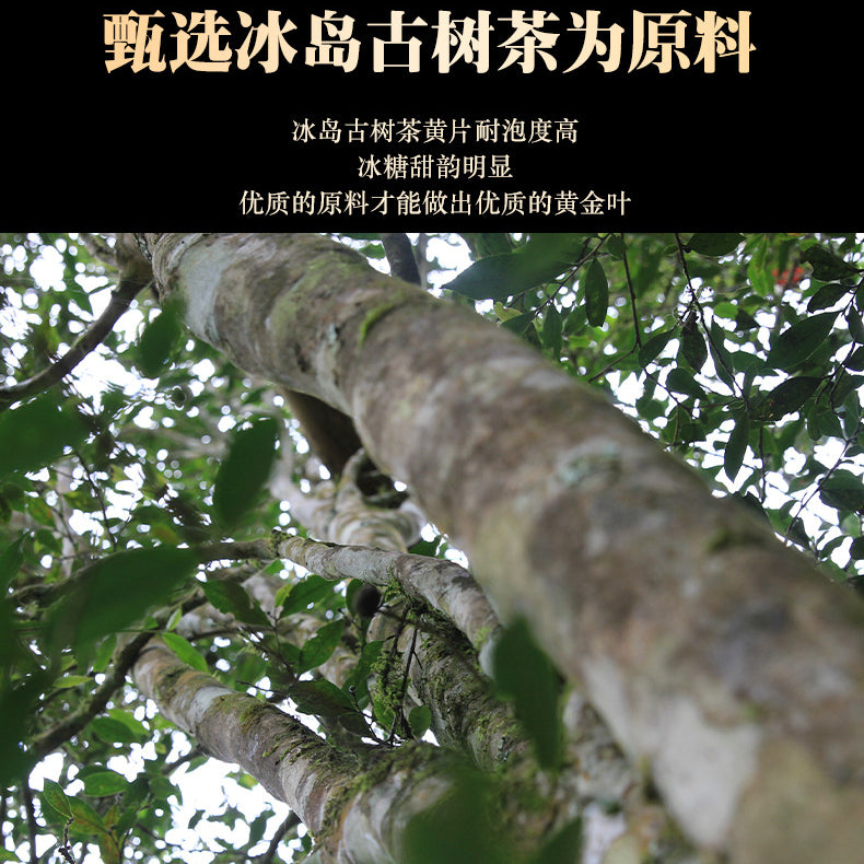 Yunnan Pu'er Tea Icelandic Ancient Tree Tea Huangjin Brick Pu'er Raw Tea Brick Tea 250g Perfect for Tea Enthusiasts Who Appreciate Pure