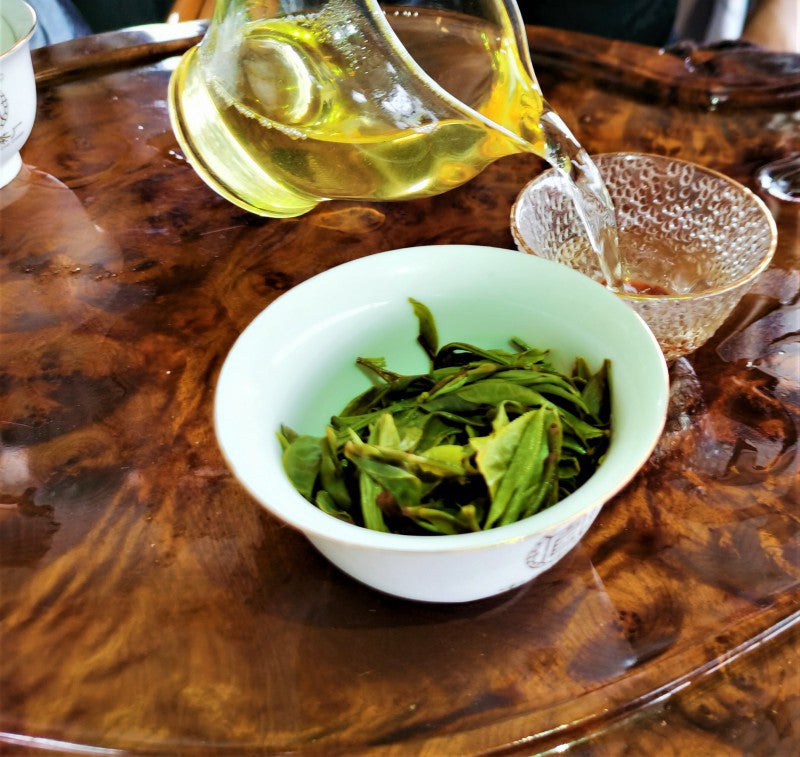 BangWei Ancient Tree Tea Old Tree Arborvitae Puerh Spring Tea 200g First Spring Puerh Raw Tea Cake