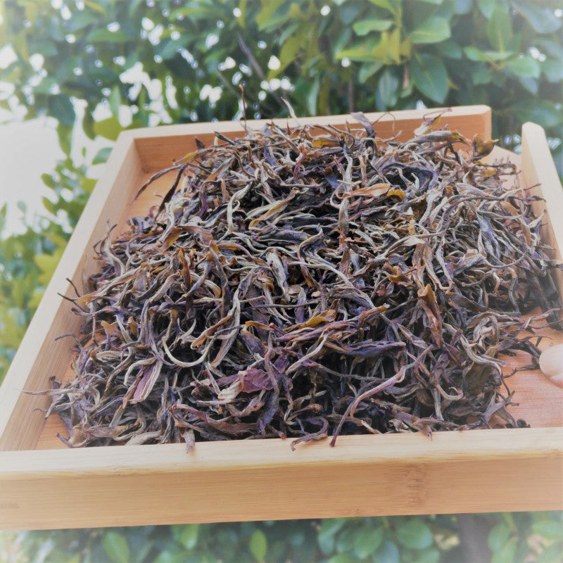 Pu'er Loose Tea Pasha Ancient Tree 500g Early Spring Pu'er Raw Tea Yunnan Pu'er Tea Green Tea