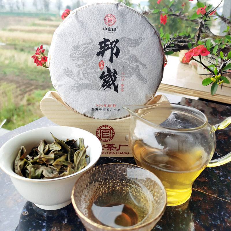 BangWei Ancient Tree Tea Old Tree Arborvitae Puerh Spring Tea 200g First Spring Puerh Raw Tea Cake