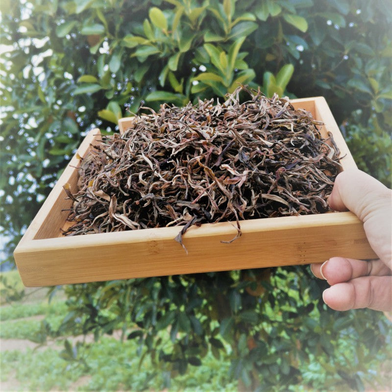 Pu-erh Loose Tea 500g Raw Tea Naka Ancient Tree Pu-erh Pure Material Early Spring Old Tree Tea