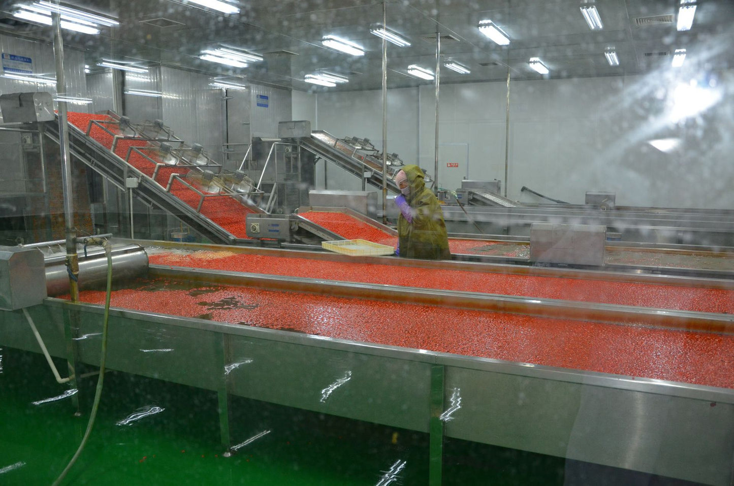 Chinese Wolfberry Large Particles of Extra Red Wolfberry Herbal Tea Chinese Wolfberry Dried Wolfberry Tea