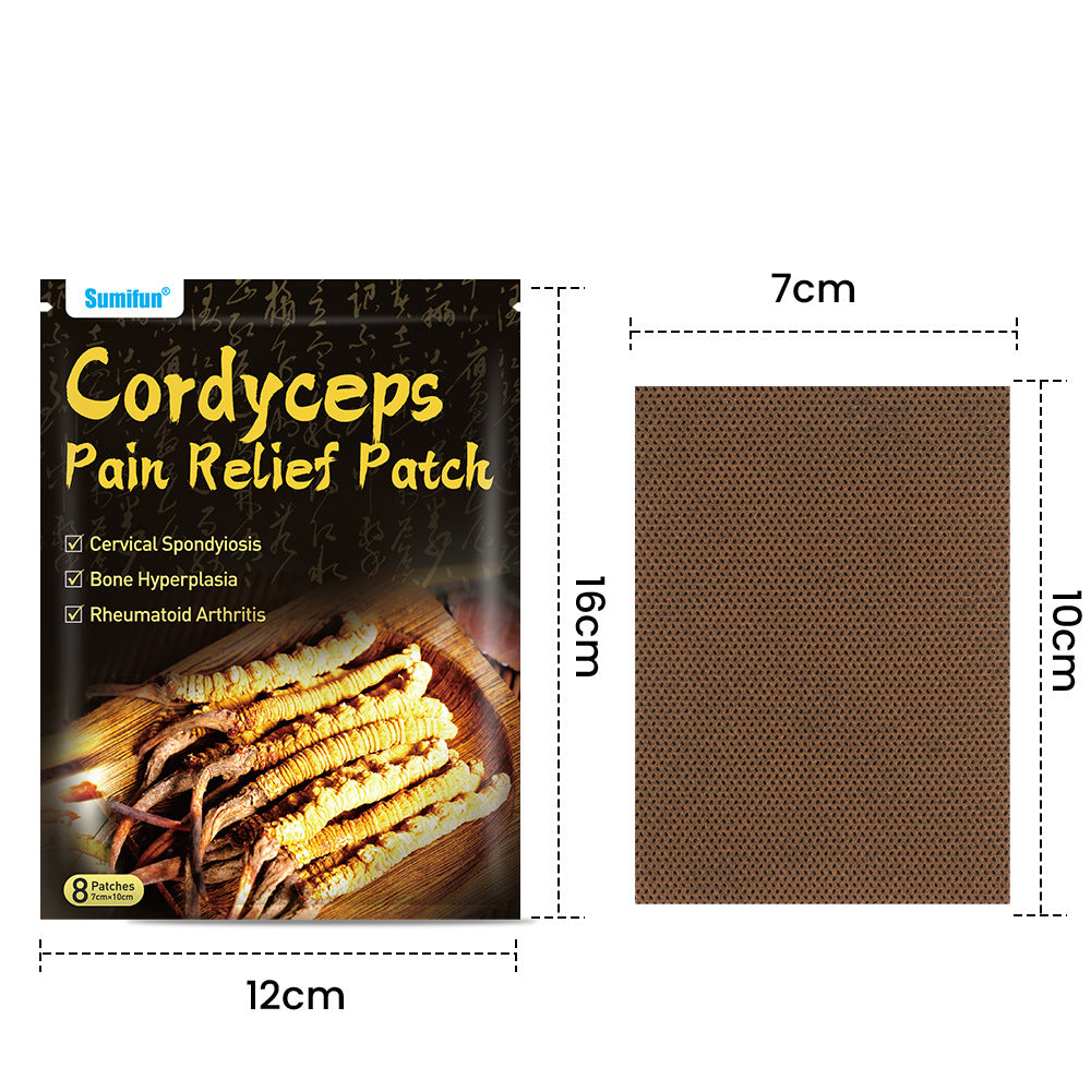 3 Packs, Cordyceps Pain Relief Patch,Powerful Pain Relief,Rheumatoid Arthritis, Muscle Joint Pain 24pcs (3Packs*8pcs) 虫草元素远红外贴,关节肌肉痛贴