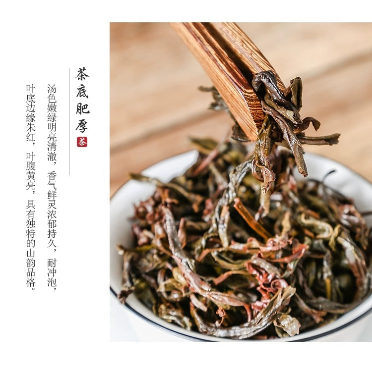 Additive-free Oolong Tea Shancong Tea Honey Orchid Guangdong Chaozhou Tea Duck Shit Fragrance 500g(250g*2) Aromatic and Flavorful 单枞鸭屎香乌龙茶新茶乌岽单枞茶蜜兰香潮州特产茶500克罐装