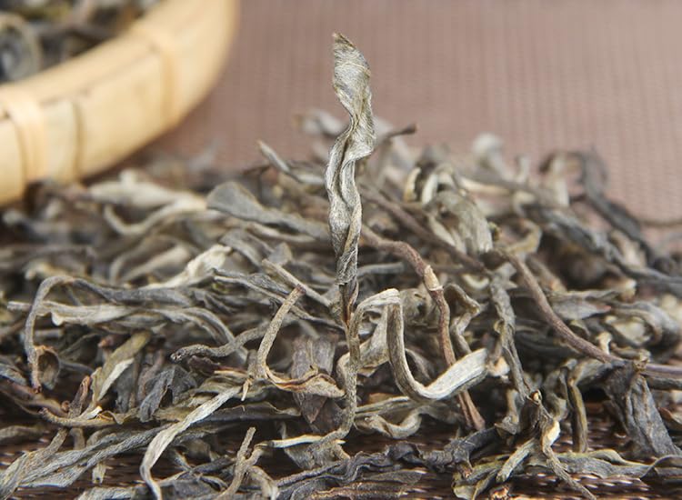 Yunnan Premium Lincang Bangdong 500g Xigui Yunnan Puerh Tea Ancient Tree Raw Tea Additive-free Puerh Tea Green Tea 云南临沧邦东昔归云南普洱茶古树生茶散茶500g