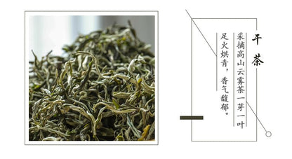 Natural Yunnan Cui Ming Green Tea Yunnan High Mountain Yunwu Strongly Fragrant Mao Feng 500g One Bud One Leaf Loose Green Tea 新茶云南翠茗绿茶云南高山云雾高香毛峰一芽一叶绿茶
