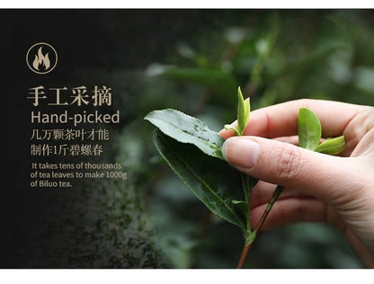 Premium Mingqian Biluo Tea 500g Green Tea Buds Strongly Flavoured Aroma Strong Sweet and Refreshing Biluochun 明前碧螺春新茶新茶绿茶嫩芽浓香型