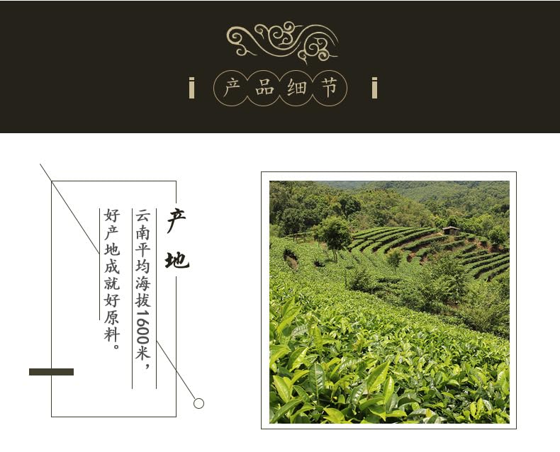 Natural Yunnan Cui Ming Green Tea Yunnan High Mountain Yunwu Strongly Fragrant Mao Feng 500g One Bud One Leaf Loose Green Tea 新茶云南翠茗绿茶云南高山云雾高香毛峰一芽一叶绿茶