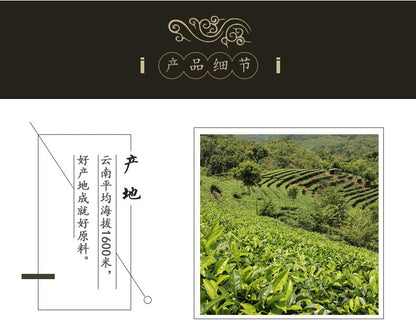 Natural Yunnan Cui Ming Green Tea Yunnan High Mountain Yunwu Strongly Fragrant Mao Feng 500g One Bud One Leaf Loose Green Tea 新茶云南翠茗绿茶云南高山云雾高香毛峰一芽一叶绿茶