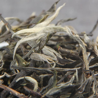 Natural Chinese Tea 100 Years Big Tree Daxueshan Puerh Raw Tea Menghu Daxueshan Spring Big Tree Tea 500g Premium Loose Tea 百年大树大雪山普洱生茶勐库大雪山头春大树茶散装茶500g
