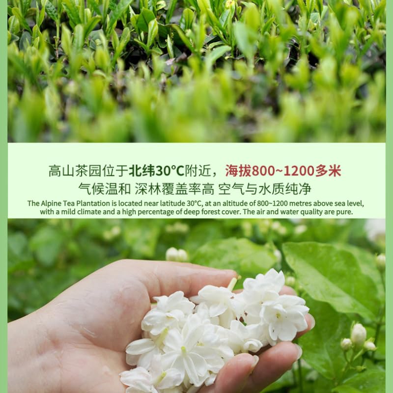 Premium Jasmine Tea Piao Xue Strong Aroma Green Tea 500g (250g*2) Flower Tea Gift Box Set Gift Tea 特级茉莉花茶飘雪浓香绿茶 500 克（250 克*2）花茶礼盒套装 礼品茶