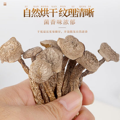 China Yunnan Specialty Natural Mushroom 150g, Premium Dried Mushroom, Bulk Edible Mushroom, No Impurities, Use for Soup, Herbal Tea 云南高品质鹿茸菇150g