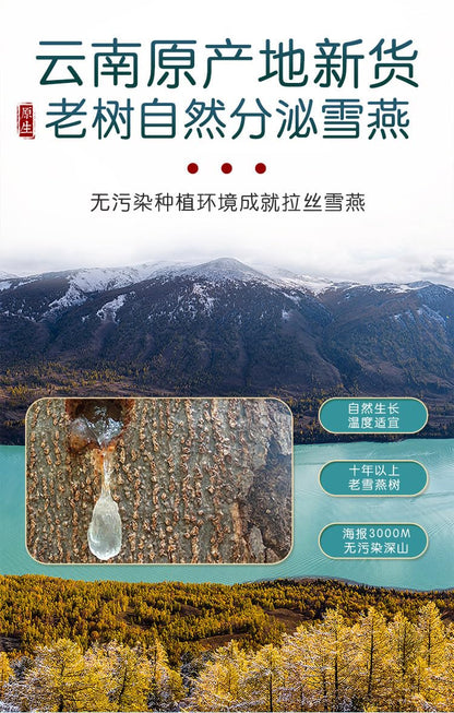 Xue Yan Food Grade Snow Nest Swallows, 100g Unadulterated Burmese Snow Swallow For Making Dessert Soup 雪燕100g/罐 无杂质缅甸雪燕印度尼泊尔雪燕 拉丝雪燕