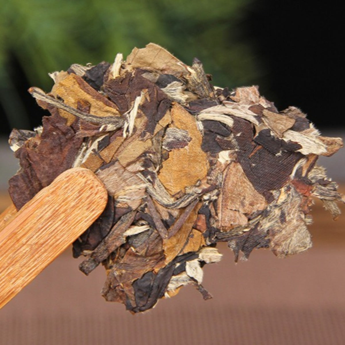 3 Years Aged Aged Bai Hao Yin Zhen White Tea Yunnan Old Loose Leaf White Tea 357g Compressed Cake Wild Wilderness Honey Floral Aroma Gongmei Compressed Tea Cake