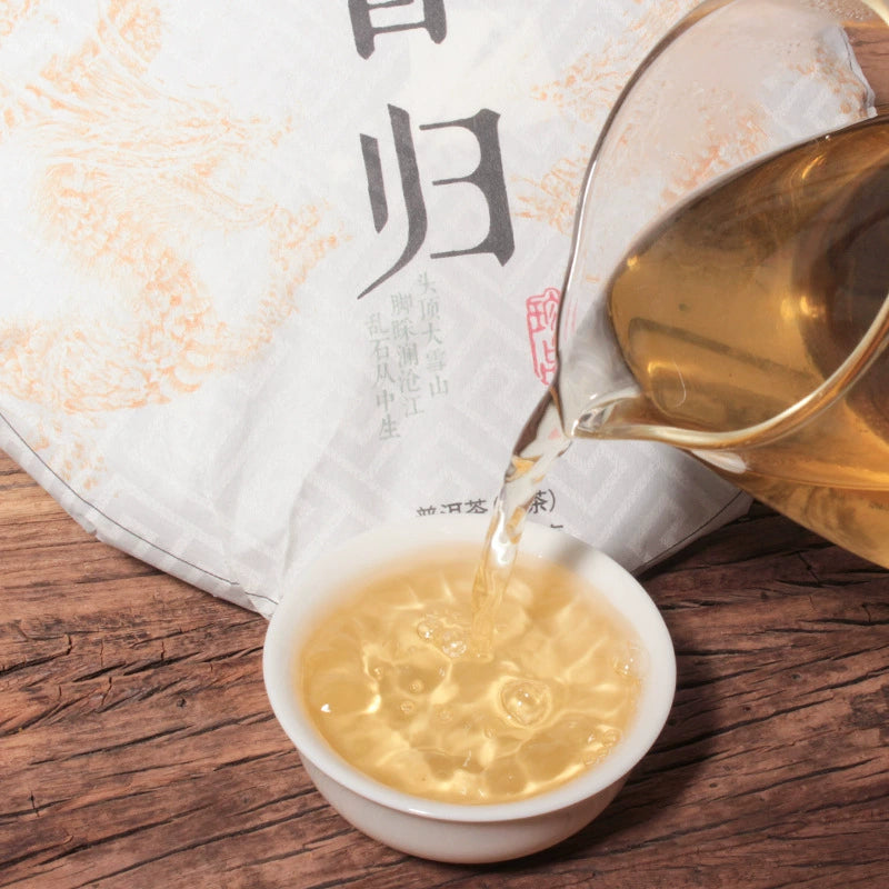 Premium Yunnan Puerh Tea Raw Tea 357g Xigui Old Tree Tea Cake Spring Tea Qizi Cake Tea Puerh Tea Organic Pu-Erh Tea, Green Tea 云南普洱茶 357克昔归老树茶饼 明前春茶七子饼茶