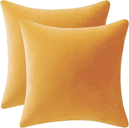 Cozy Soft Velvet Square Solid Color Pillow Covers for Living Room, Bedroom Farmhouse Home Decor 18x18 Inch Throw Pillow Cases 2 Packs