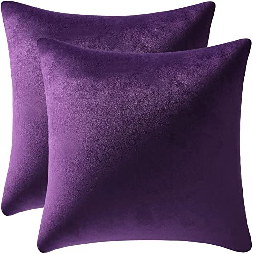 Cozy Soft Velvet Square Solid Color Pillow Covers for Living Room, Bedroom Farmhouse Home Decor 18x18 Inch Throw Pillow Cases 2 Packs